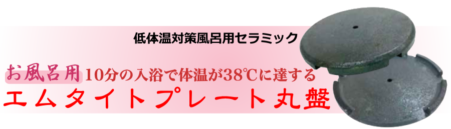 ̉΍CpZ~bN [Cp] G^Cgv[g۔ՁI 10pő̉38xɒBII